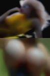 Girls Jay, naked