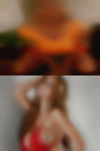 Gehardtsanger, senior swingers